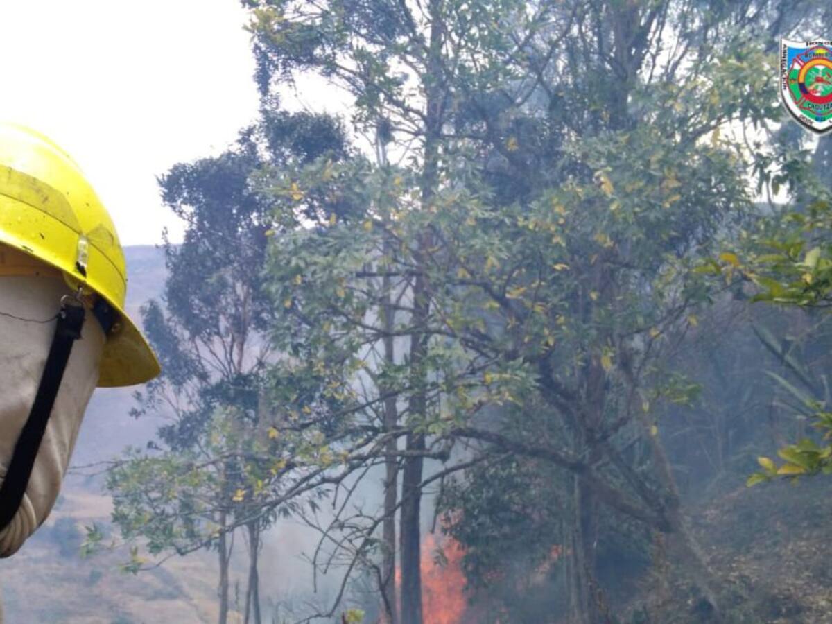 Desde la educación ambiental se buscan reducir quemas en Cáqueza