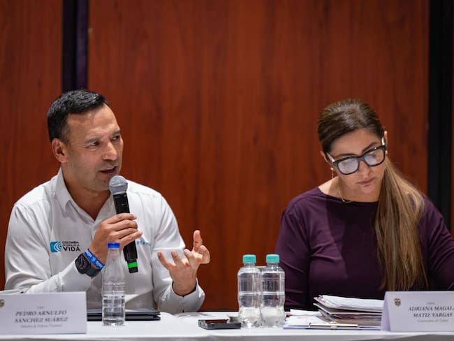 En el Tolima se lanzará plan piloto nacional contra la minería ilegal