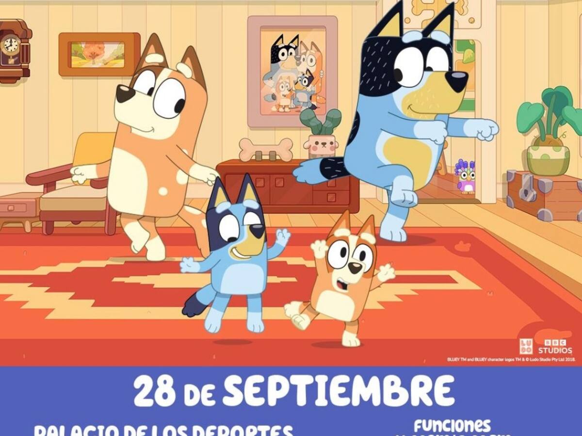 Bluey llega a Bogotá con su primer show en vivo: “Diversión en familia”
