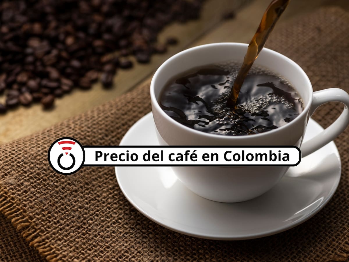 Precio del café en Colombia HOY 2 de julio de 2026: Bajan las cotizaciones del grano