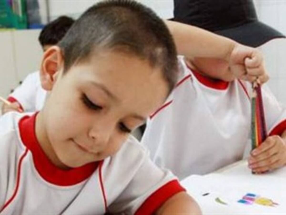 Cundinamarca, Santander y Boyacá, los de mayor excelencia educativa