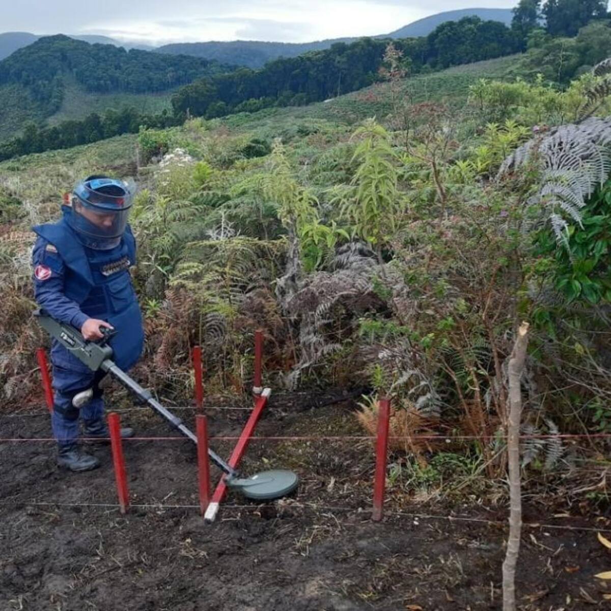 En un 85% avance del Desminado Humanitario en el Huila