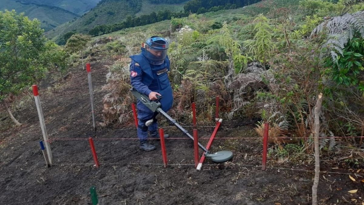 En un 85% avance del Desminado Humanitario en el Huila