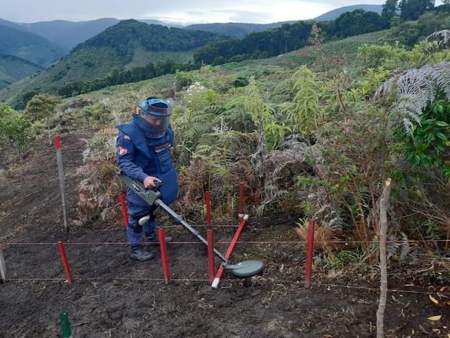 Minas antipersona en 2025. Foto Redes Sociales
