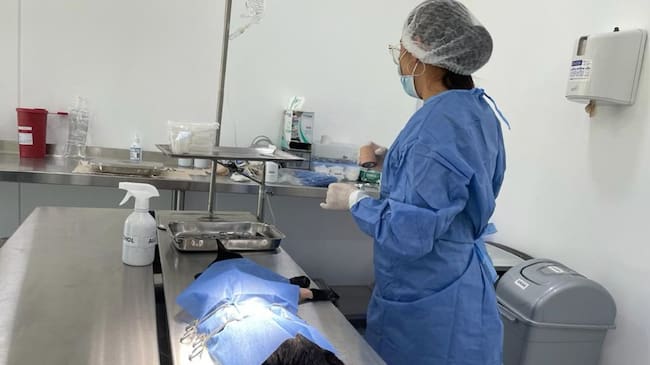 Quirófano habilitado en el Hospital de Mascotas de Manizales