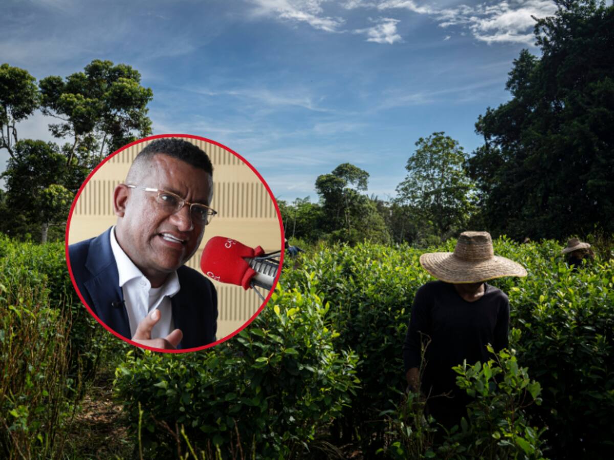 Gobernador de Nariño explica la estrategia territorial para enfrentar cultivos ilícitos y violencia