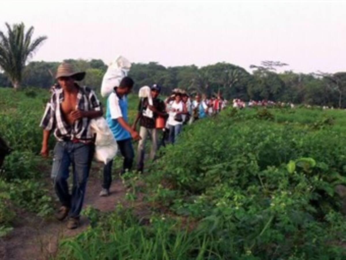 Jueces y magistrados de restitución de tierras piden al Gobierno que refuerce su seguridad