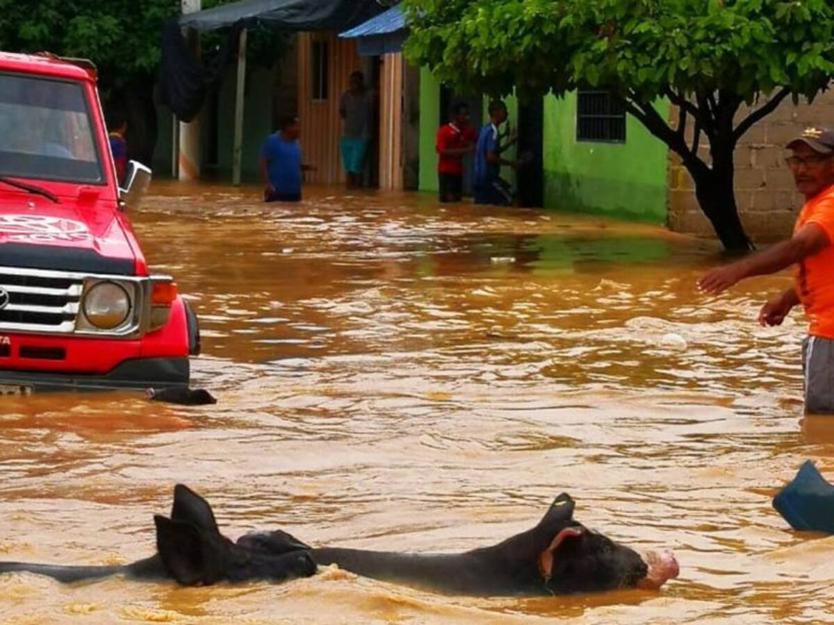 450 familias damnificadas por inundaciones en el sur de Bolívar