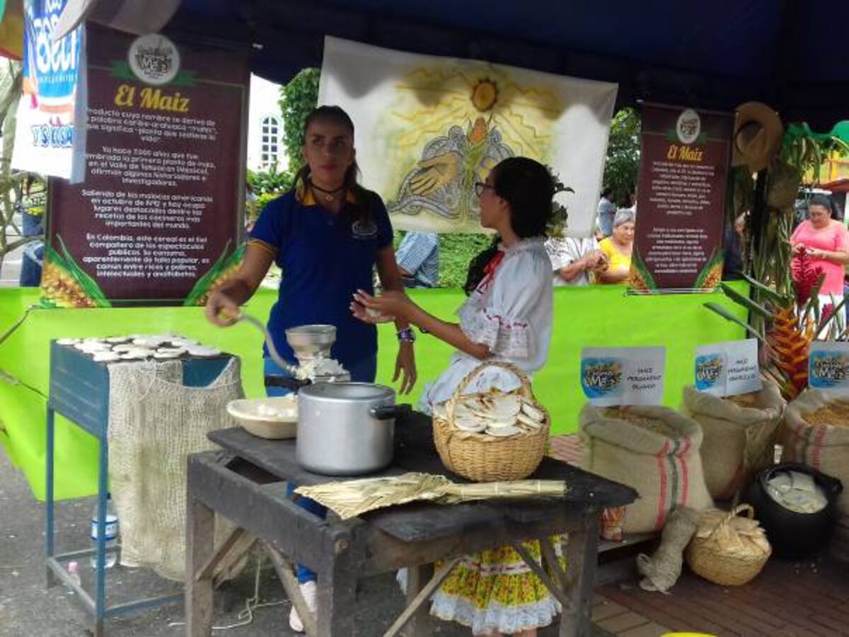El Corregimiento de Barcelona será epicentro del festival del maíz