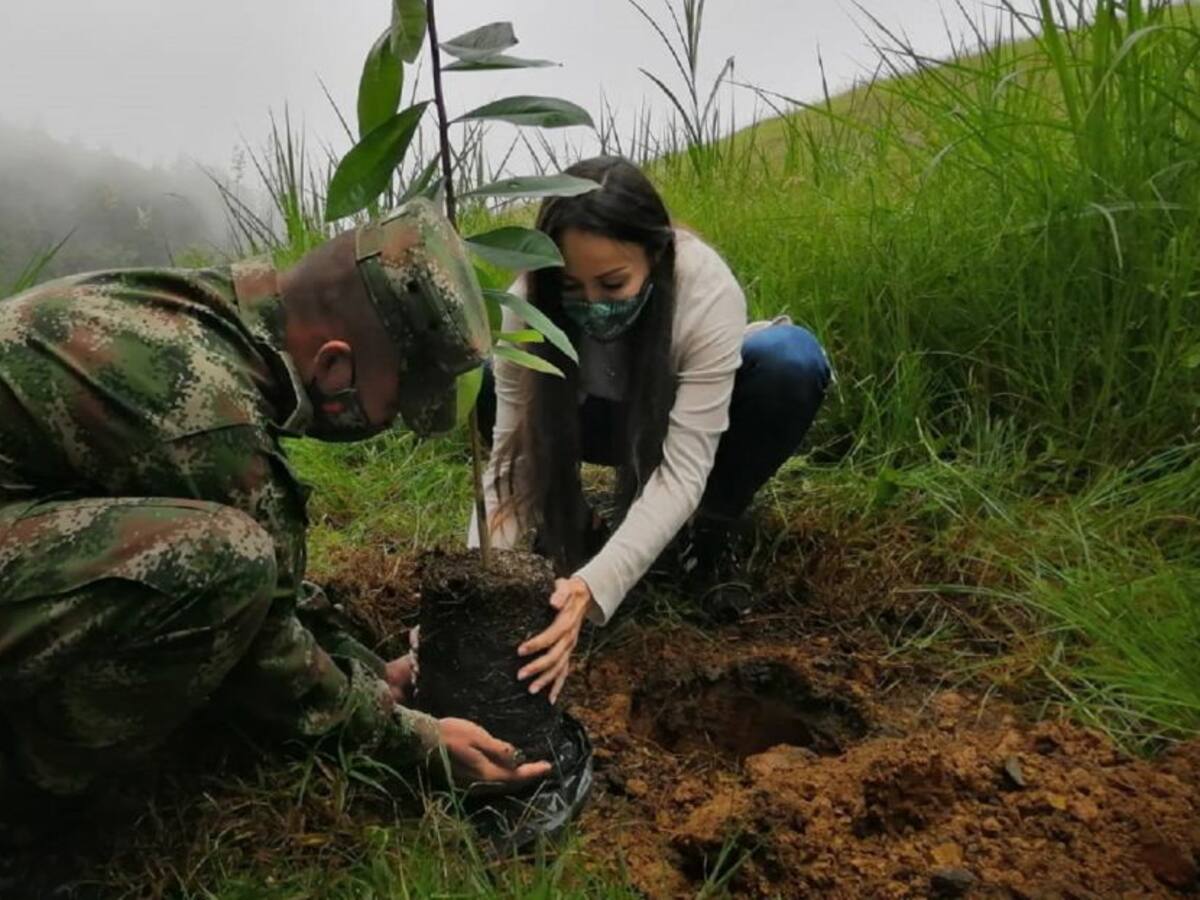 "Cada uno, un árbol", la iniciativa para incentivar la siembra en Antioquia