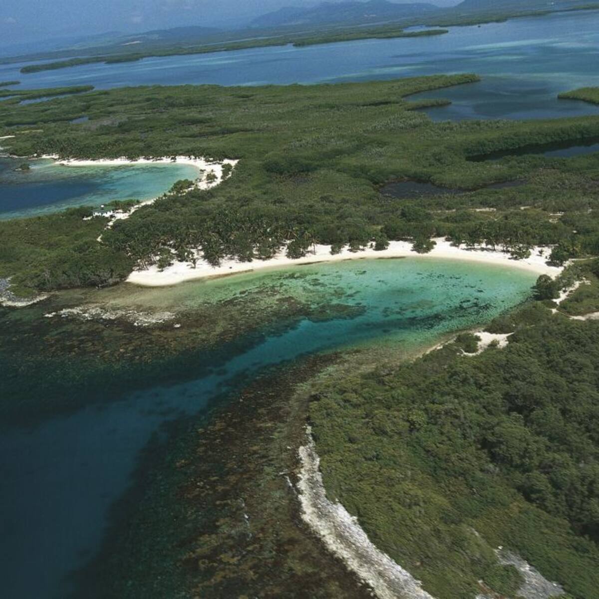 Esta es la app que deben tener los turistas que quieran visitar parque Morrocoy en Venezuela