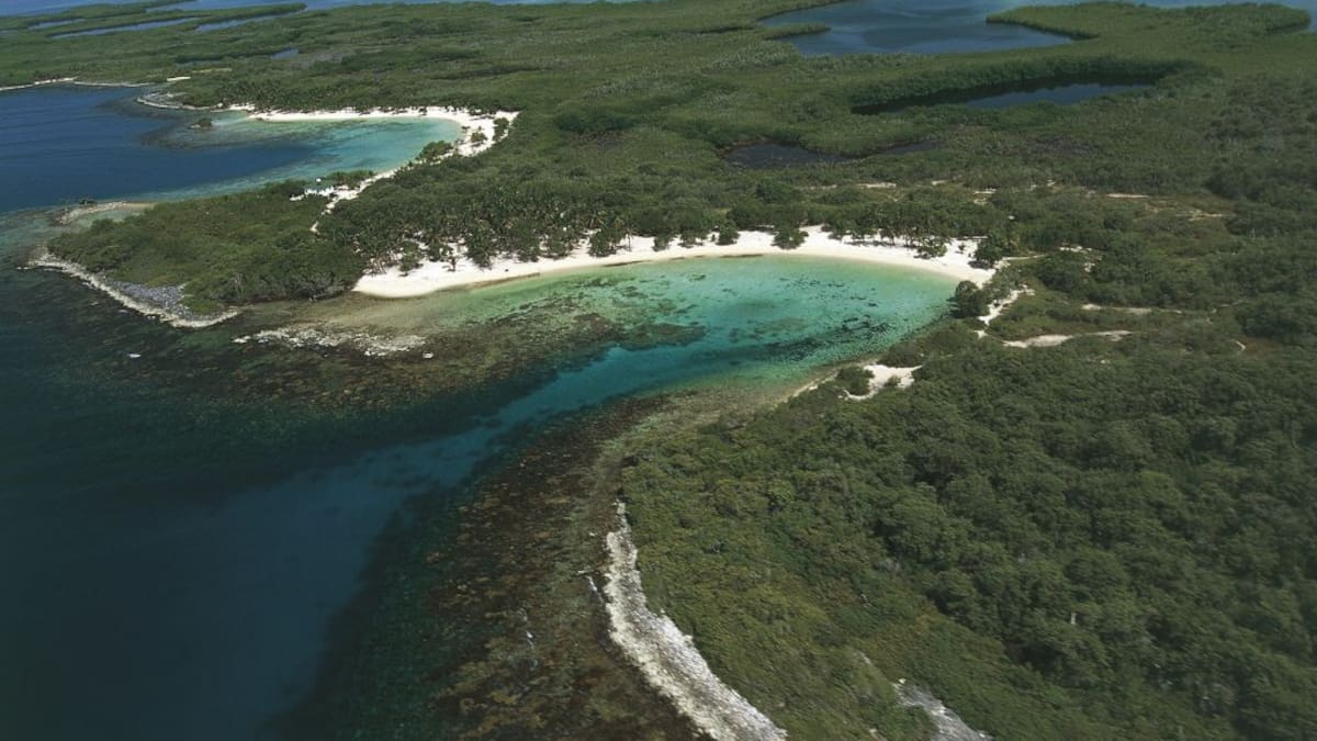 Esta es la app que deben tener los turistas que quieran visitar parque Morrocoy en Venezuela