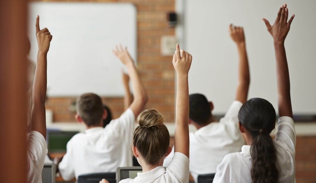 Imagen de referencia 