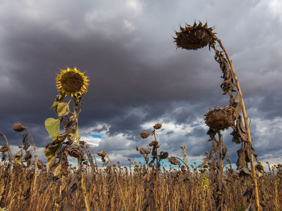 Países de América acuerdan cooperar en la respuesta al fenómeno de El Niño