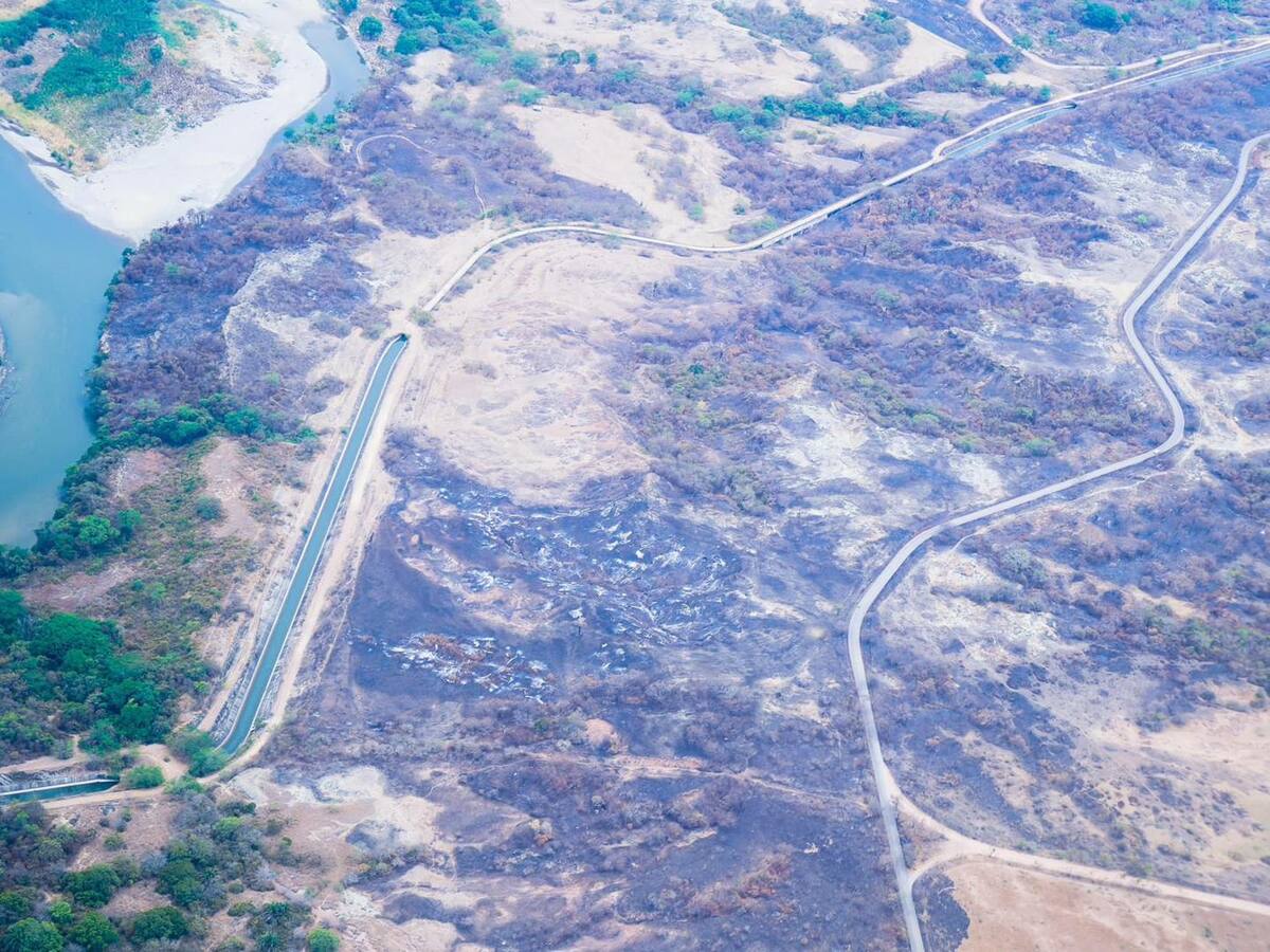 En el Tolima hay escasez de comida para el ganado por los incendios forestales