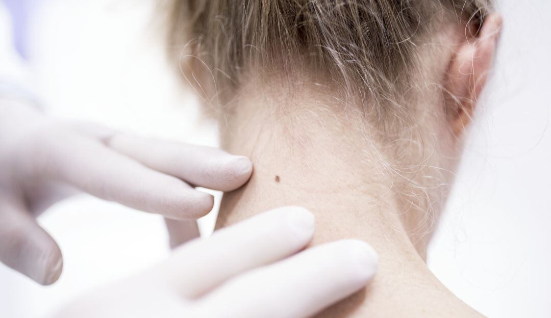 Imagen de referencia