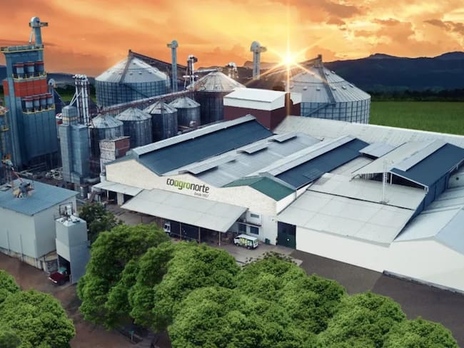 Conozca el nuevo empaque innovador de Arroz Zulia: está hecho de piedra