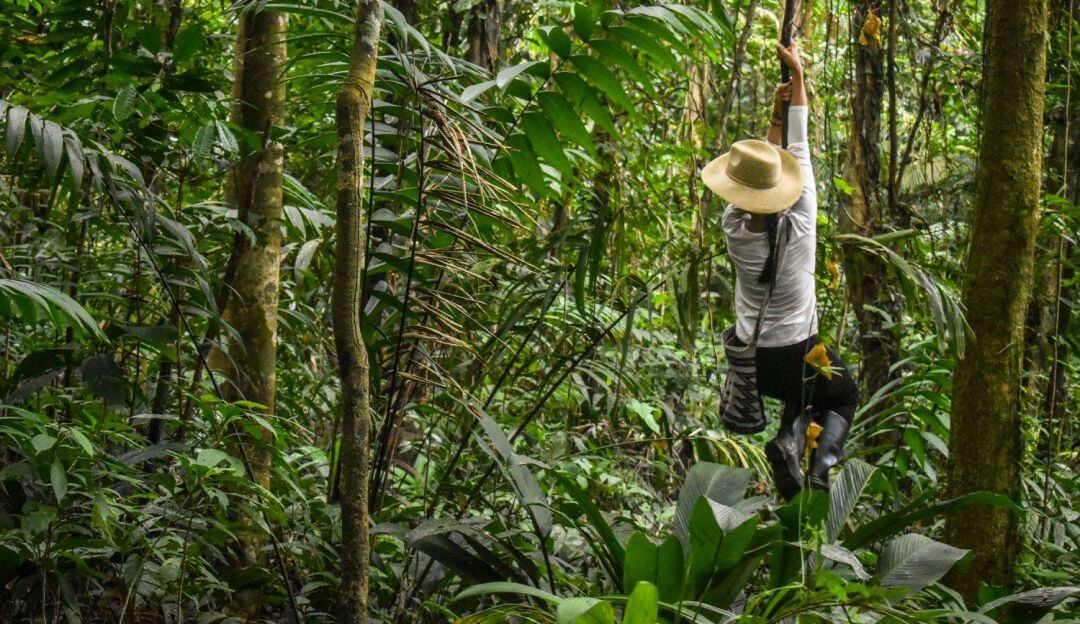 Inmerso en la naturaleza. 