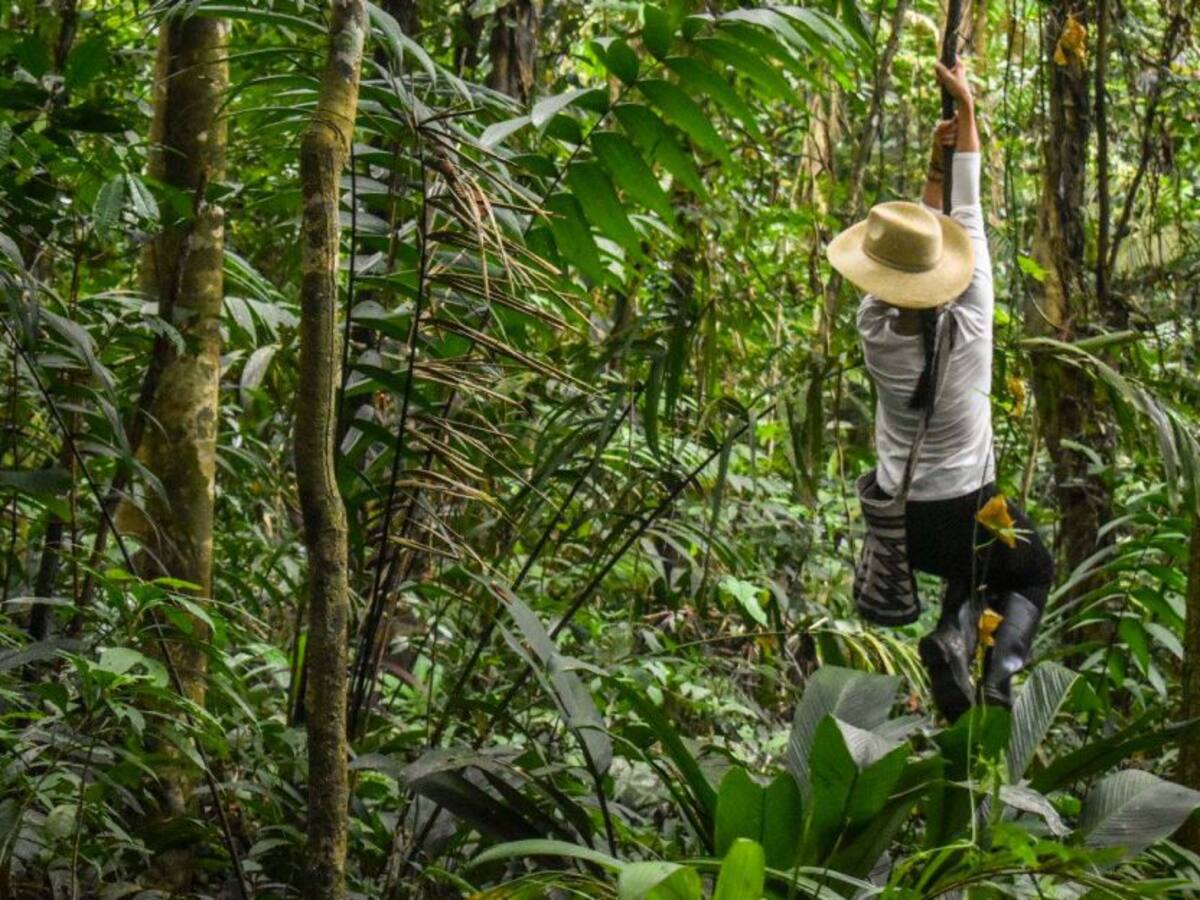 Jardín Botánico del Pacifico, Un paraíso para el descanso y la aventura