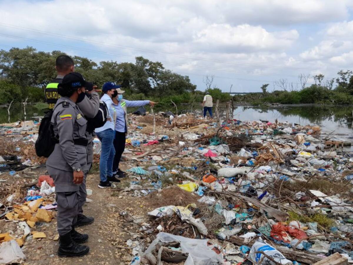 Inspeccionan zonas degradadas en bordes de la Ciénaga de la Virgen