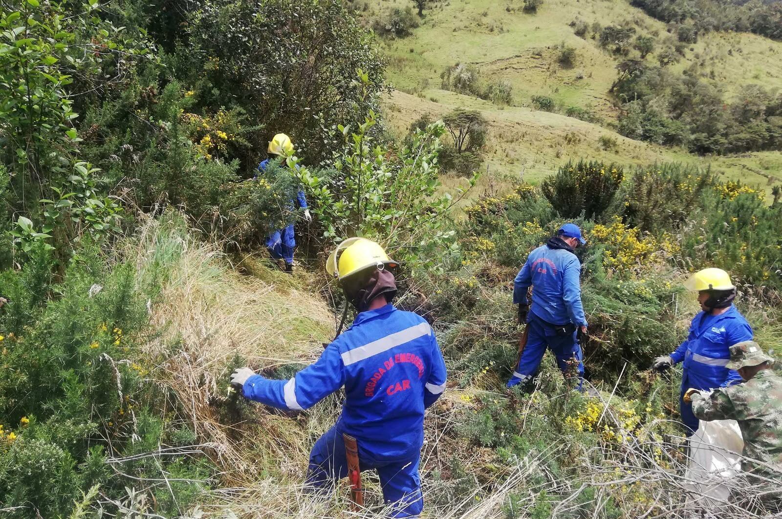 Incendios forestales en Cundinamarca. Foto: CAR