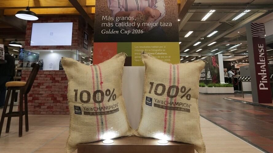 Imagen de referencia  - café. Foto: Colprensa