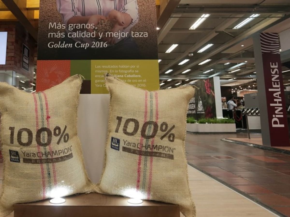 Con 14,2 millones de sacos producidos en 2017 los cafeteros igualaron producción de 2016