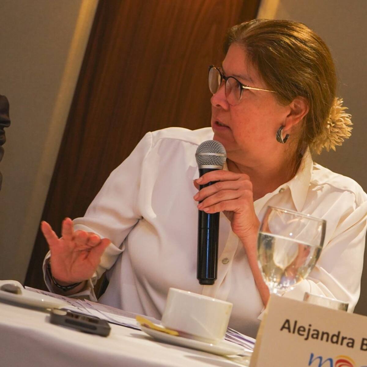 MOE: resultados del preconteo fueron altamente fiables en elecciones al Congreso