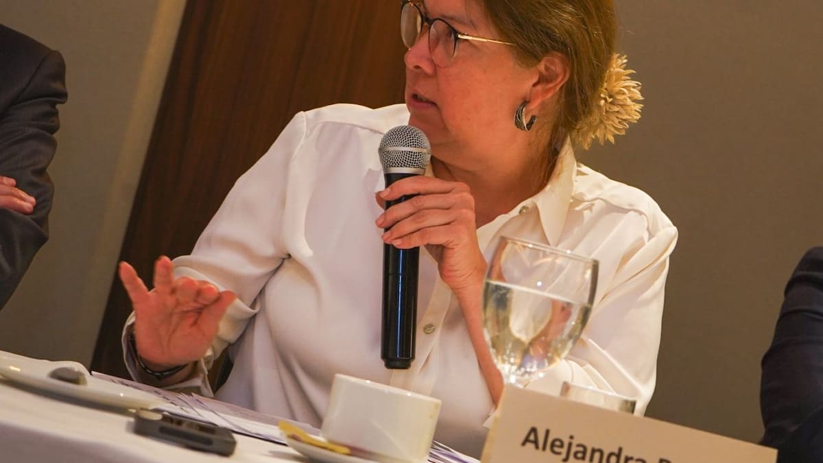 “Romper el secreto del voto afecta la libertad de los electores”: directora de la MOE