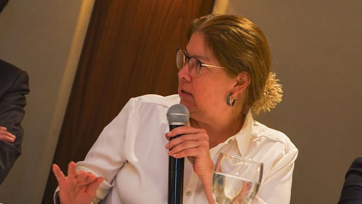 “Romper el secreto del voto afecta la libertad de los electores”: directora de la MOE