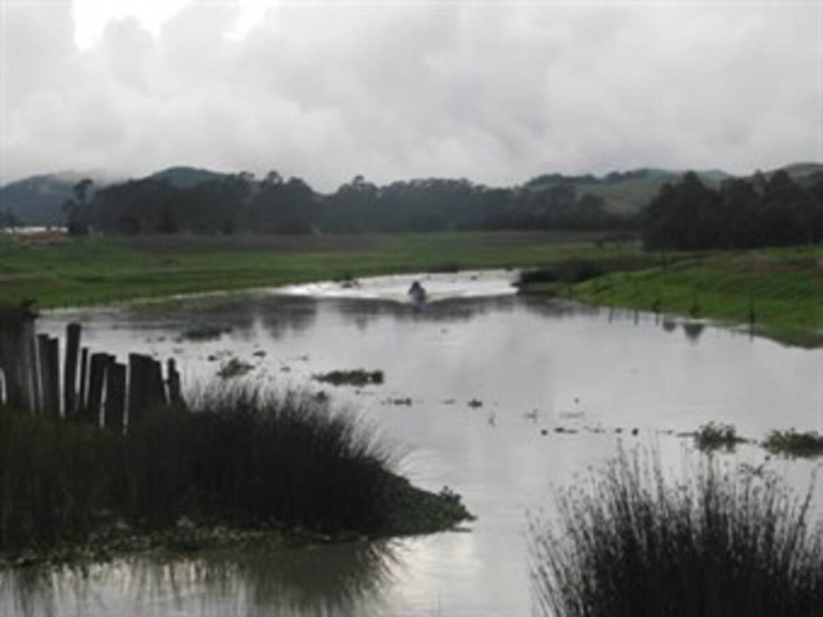 Habitantes de Bogotá y Cundinamarca marchan por la recuperación del río Bogotá