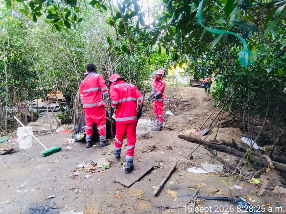 Tres cambuches y diez toneladas de residuos fueron removidas en inmediaciones a la Av. del Lago
