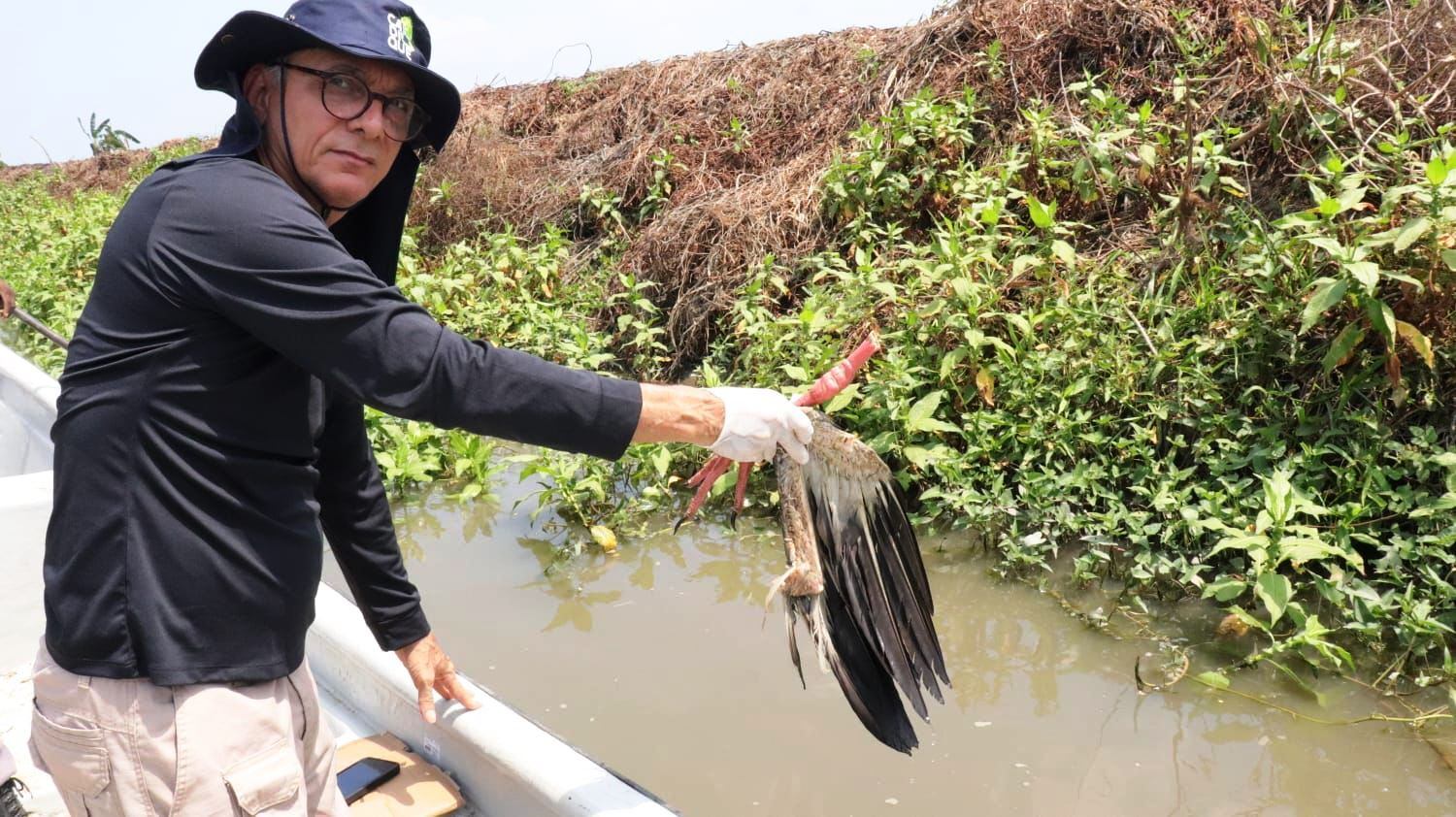 Advierten caza indiscriminada de aves en ciénaga del norte de Bolívar