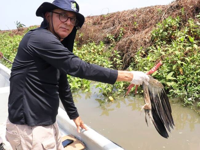 Advierten caza indiscriminada de aves en ciénaga del norte de Bolívar