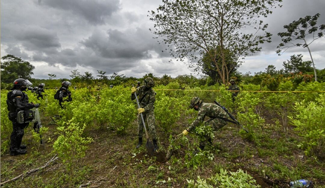 Tensa situación en Tibú entre cocaleros y soldados