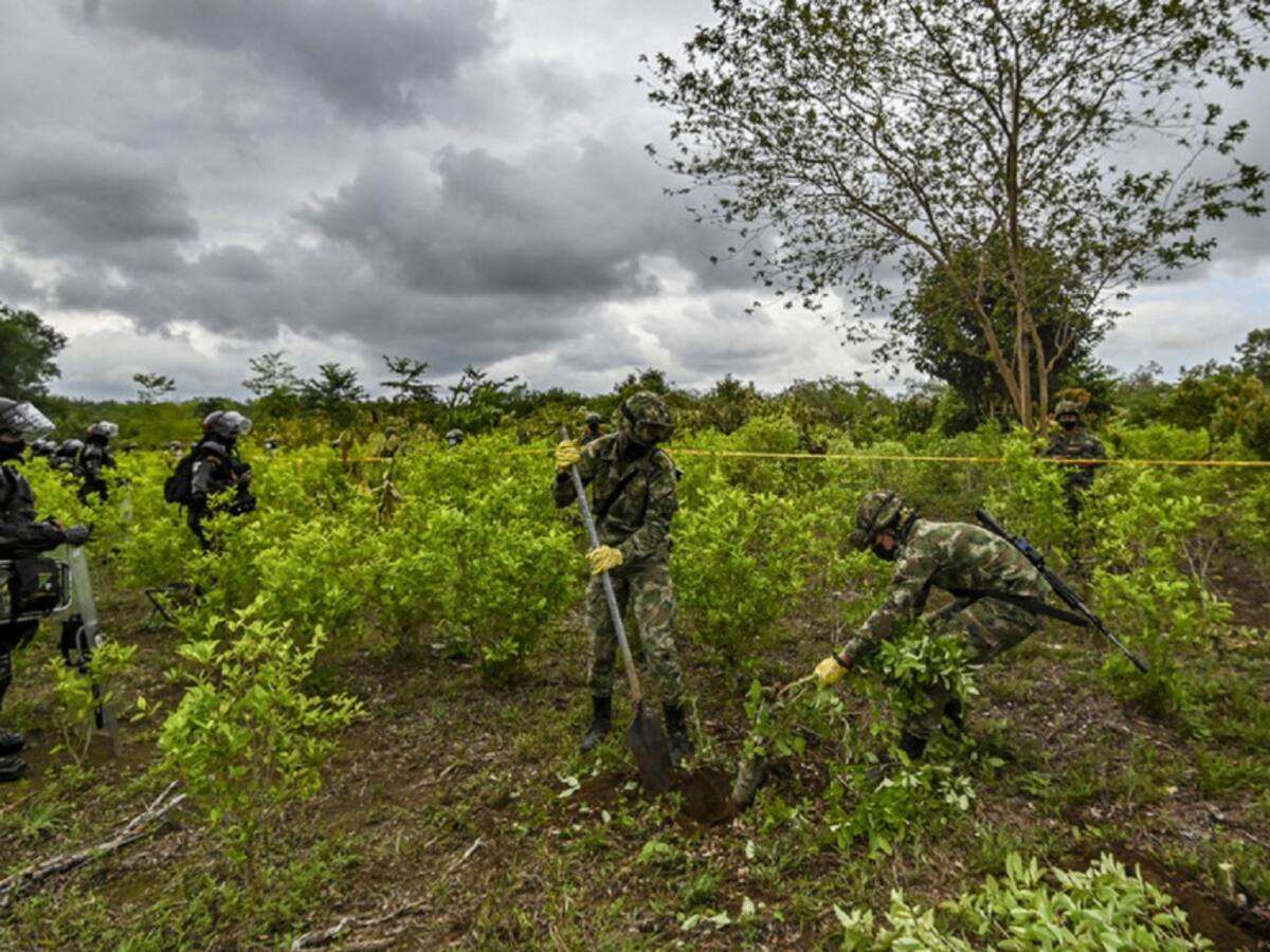 "Los soldados no están secuestrados": cocaleros en Tibú