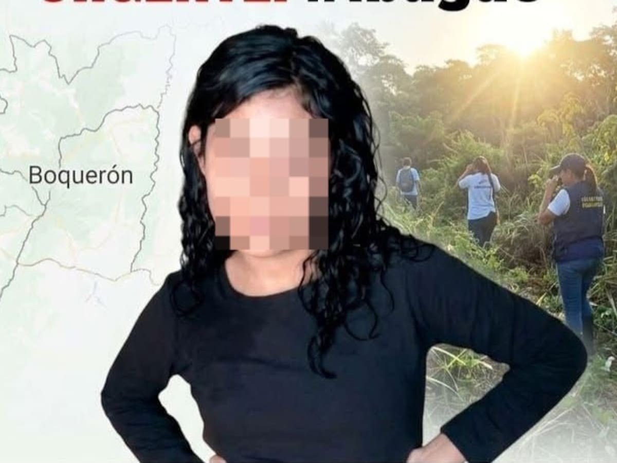 Encuentran con vida a menor que había desaparecido en Ibagué: hay dos extranjeros capturados