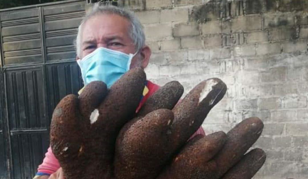 Pedro Quintero, campesino