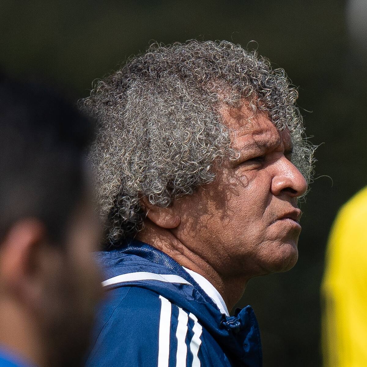 Junta directiva de Millonarios respalda al técnico Alberto Gamero