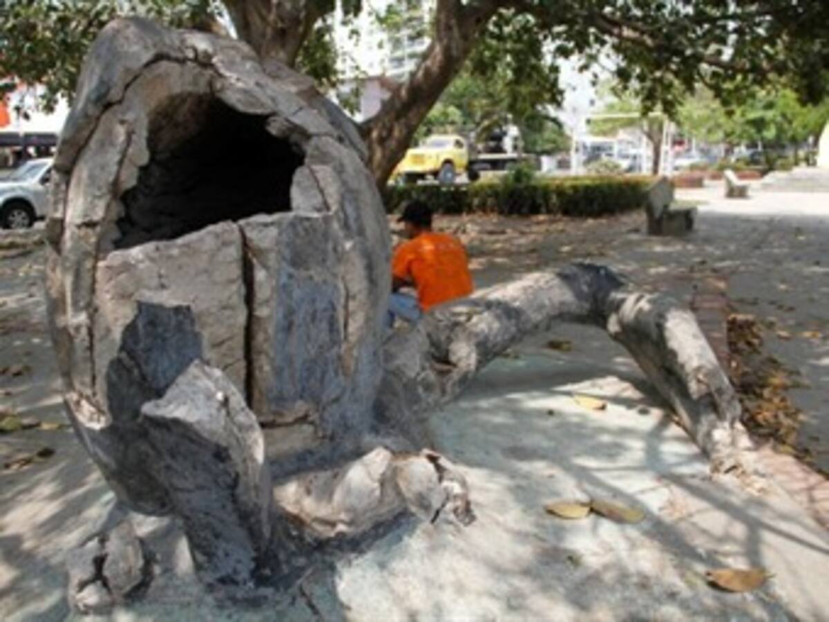 Serán restaurados el parque del Cangrejo azul y el espíritu del Manglar