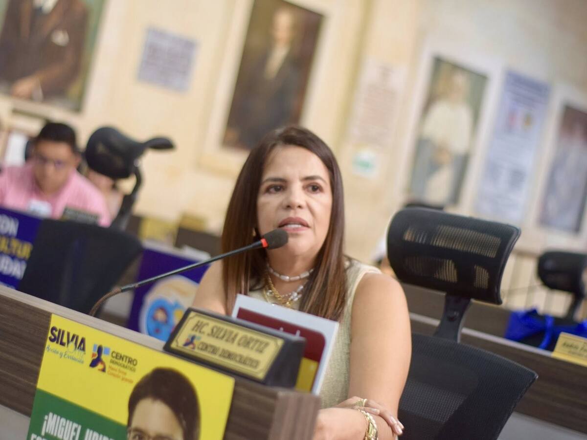 ¿Es competitiva la tarifa que cobra Celsia en Ibagué? Esto revelaron en el Concejo Municipal