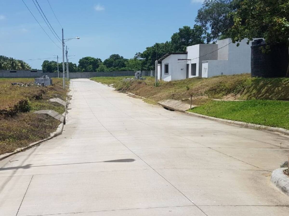 Denuncia venta ilegal de lotes en Campoalegre Huila