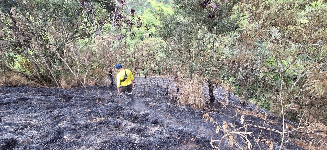 incendio forestal  en la vereda La Cauchera de Filandia, Quindío. Foto Cortesía CRQ