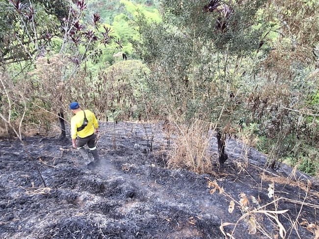 incendio forestal  en la vereda La Cauchera de Filandia, Quindío. Foto Cortesía CRQ