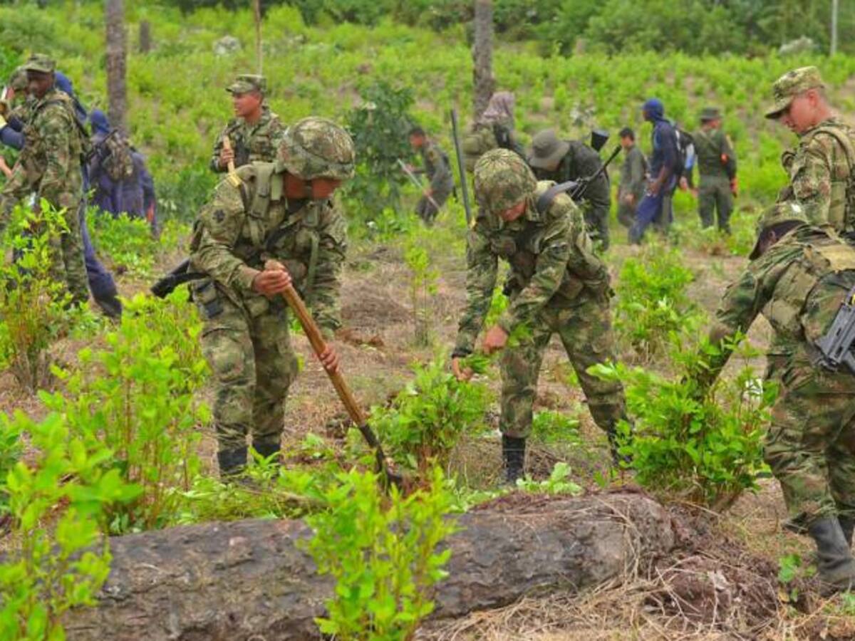 10.000 familias firman acuerdos de sustitución de cultivos en Caquetá