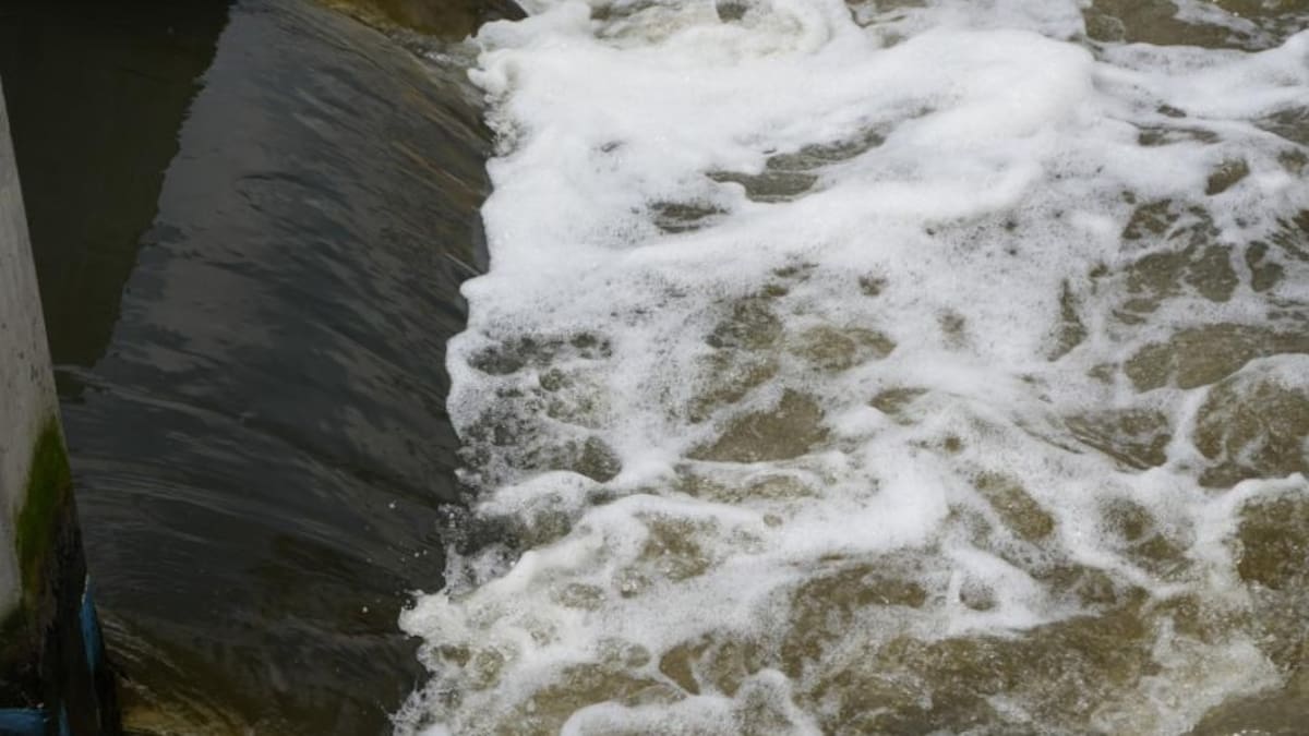 Bogotá y la CAR adicionan más de 350 mil hectáreas estratégicas para proteger el agua en la región