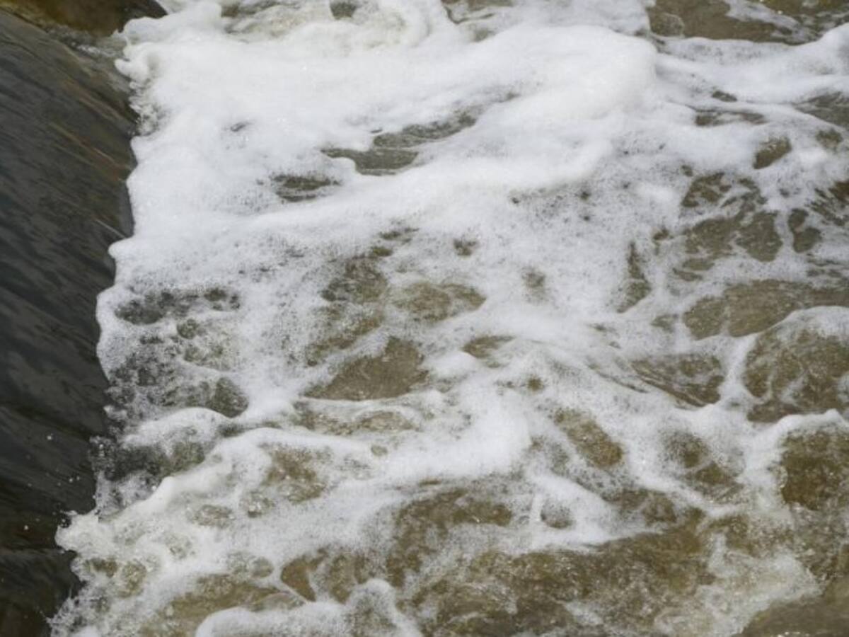 Bogotá y la CAR adicionan más de 350 mil hectáreas estratégicas para proteger el agua en la región