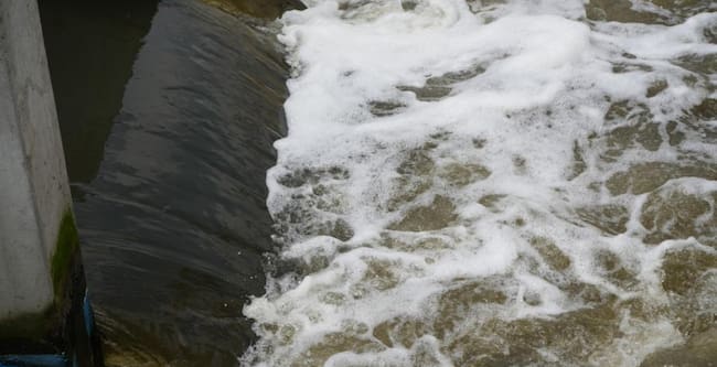 Bogotá y la CAR adicionan más de 350 mil hectáreas estratégicas para proteger el agua en la región