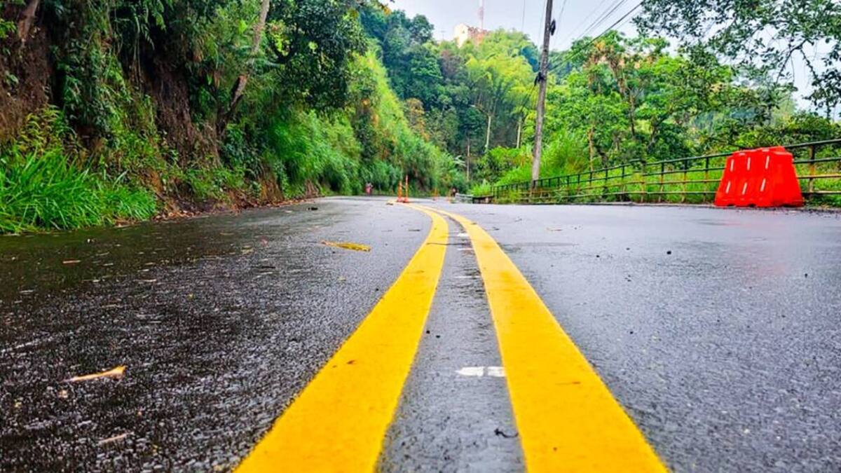 Informe licencia ambiental