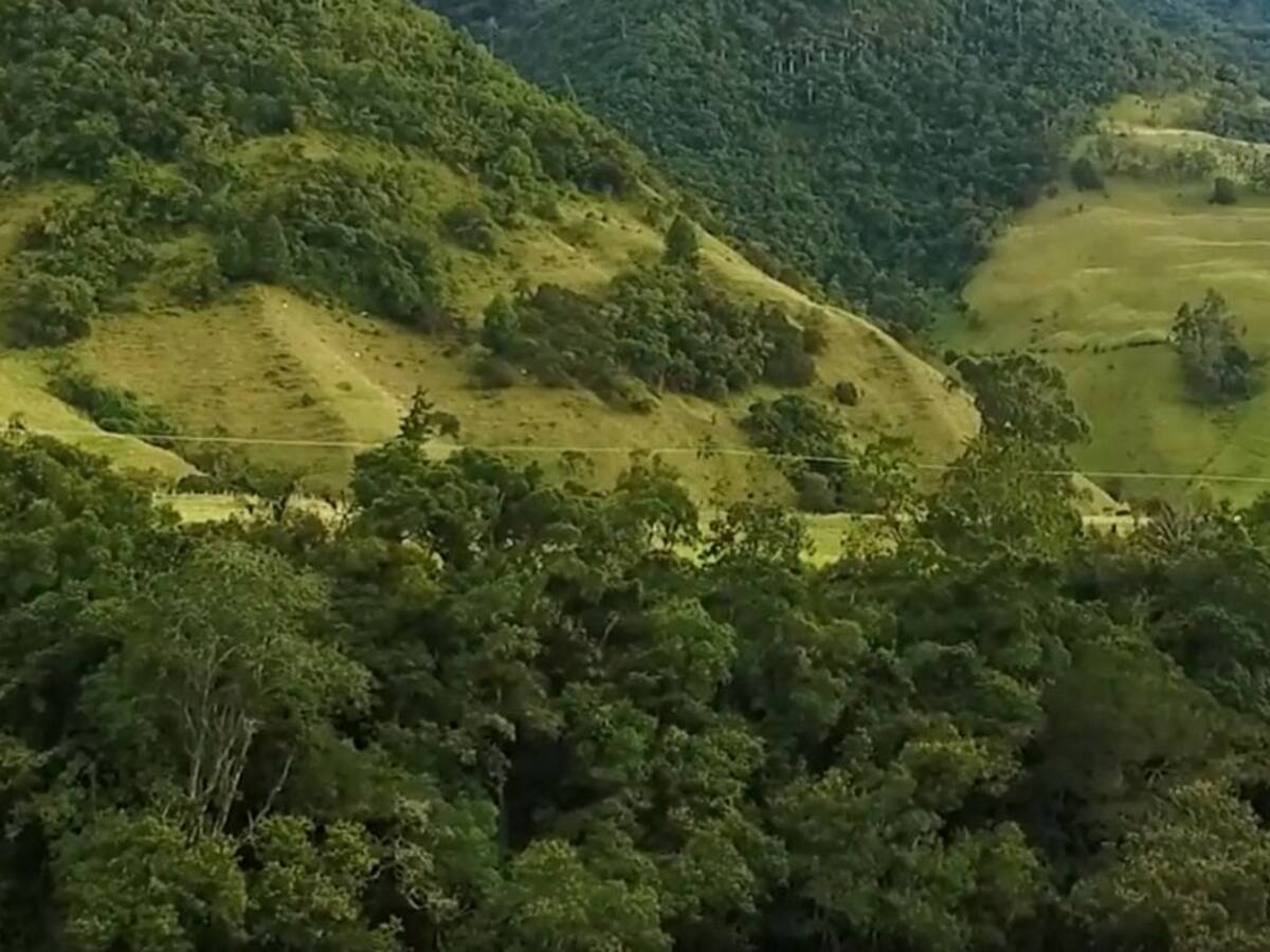 Restricción en áreas de conservación en Salento durante Semana Santa